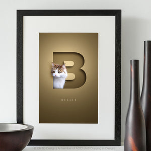 Unusual cat portrait of a maine coon cat looking out of the first letter of her name. The paper cut out design creates a realistic 3D effect.