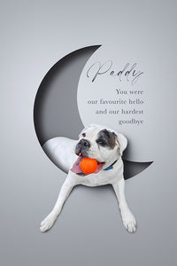 One pet digital only