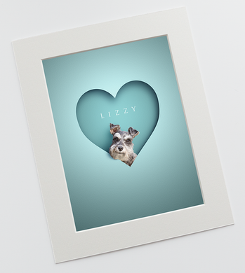 Modern, 3D-effect pet picture of a schnauzer dog head looking out of a bright blue, paper cut out effect heart shape