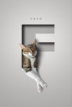 Load image into Gallery viewer, One pet digital only