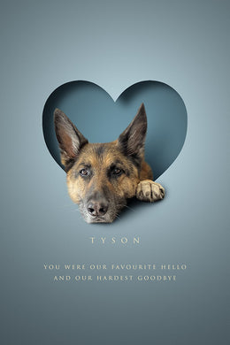 One pet digital only