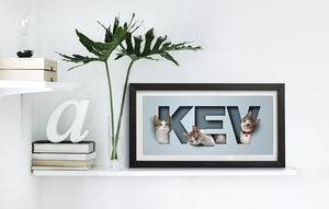 Add a Letterbox Frame