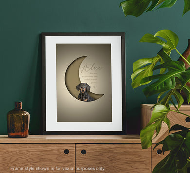 stylish, modern 3D-effect pet picture of a dachshund posed inside a crescent moon shape with a paper cutout look giving an unusual 3d effect. Framed in a black picture frame and propped on a sideboard