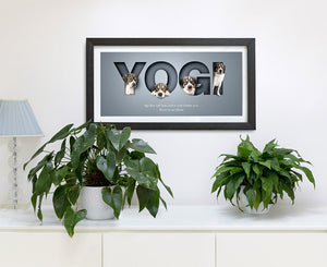 Add a Letterbox Frame