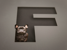 Load image into Gallery viewer, Two 8&quot; x 6&quot; Pets in Letters Desk Top Prints Mount Only