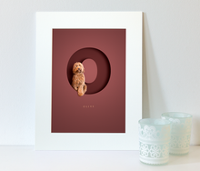 Load image into Gallery viewer, picture in a white photo mount of a furry cockapoo dog sitting within a letter O on a burgundy red background