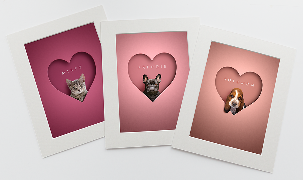 set of 3 pictures in shades of pinks and in white photo mounts. Each one is a head shot of a tabby cat, black frenchie and sad looking Beagle sitting inside a heart shape looking out at the viewer