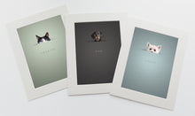 Load image into Gallery viewer, Modern and unique pet pictures - 3 pictures in white photo mounts of cats and dogs peeking above a horizon line and their names are written below in a serif font
