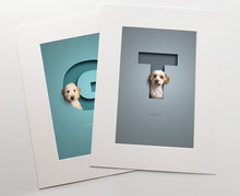 Load image into Gallery viewer, two colourful premuim quality prints inside white photo mounts. a fluffy dog is sitting in each cut out of paper effect capital letter that has a 3D effect