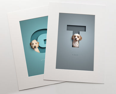 two colourful premuim quality prints inside white photo mounts. a fluffy dog is sitting in each cut out of paper effect capital letter that has a 3D effect