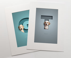 two colourful premuim quality prints inside white photo mounts. a fluffy dog is sitting in each cut out of paper effect capital letter that has a 3D effect